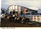 (500) Hippisme - Course De Chevaux - Horseracing - Calgary - Reitsport