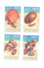 Hong Kong 1997 Scott 803-6 Seashells MNH** - Unused Stamps