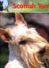 Scottish Terrier 2002 - Groot Formaat: 2001-...