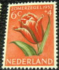 Netherlands 1952 Cultural And Social Relief Fund Tulip 6c + 4c - Mint - Ongebruikt