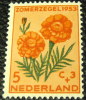 Netherlands 1953 Cultural And Social Relief Fund African Marigold 5c + 3c - Mint - Unused Stamps