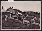 Chalet - Restaurant De La Dent De Vaulion - Vaches Et Gens ; Form. 10 / 15 (9555) - Vaulion