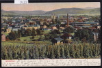 Winterthur Mit Seine Weinreben Um. 1905 (9559) - Winterthur