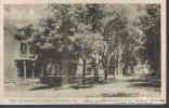 CPA.   NEWTOWN.     View Of Chancellor Street. - Hertfordshire