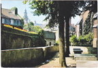 62. Cpsm. Gf. HESDIN. Le Marché Aux Poissons - Hesdin