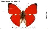 SIERRA LEONE 10 UNITS BUTTERFLIY  URMET SRL-10 READ DESCRIPTION !! - Sierra Leona