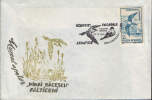 Romania-1993-Envelope Occasionally-Gull, Sea Wolf(stercorarius Pomarinus) - Seagulls