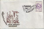 Romania-1993-Envelope Occasionally- The Little Egret (Egretta Garzetta) - Storks & Long-legged Wading Birds