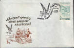 Romania-1993-Envelope Occasionally-The Common Tern (Sterna Hirundo) - Storchenvögel