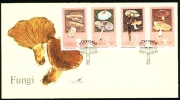 1987 Ciskei FDC Cover Mushrooms. Edongaba 1987.03.19.  (H44c001) - Ciskei
