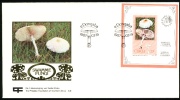 1987 Ciskei FDC Cover Mushrooms.Swamme Fungi. Edongaba 1987.03.19.  (H44c002) - Ciskei