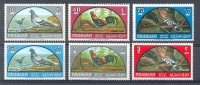 Mnr052 VOGELS DUIF HAAN BIRDS COCK PIGEON DOVE VÖGEL AVES OISEAUX SHARJAH 1965 PF/MNH - Collections, Lots & Series