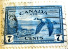 Canada 1946 Re-Convertion To Peace Time Canadian Goose In Flight 7c - Used - Usati