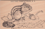Very Thick Wood Post Card - Carte En Bois épaisse - Greetings From Pittsburg New Hampshire - Beaver - 2 Scans - Autres & Non Classés