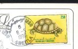 DF / ANIMAUX / REPTILES / TORTUE / TP DE TUNISIE SUR CARTE POSTALE - Schildpadden