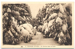 CPA Neuve PAYSAGE D'HIVER Un Sentier Dans La Forêt - Bäume