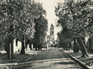 MENNECY - Rue Du Général Leclerc - L'Eglise - Mennecy