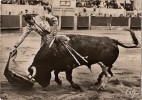 Toulouse-arenes Du Soleil D'or- Muletazo Por Bajo-derechazo-cpsm Tauromachie - Taureaux