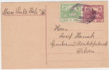 1919 Czechoslovakia Postal Card. Hals N Bohmen.  (A05182) - Postkaarten