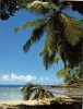 (666) Seychelles Islands - Mahé Beach Views - Seychelles