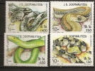 Somalie Soomaaliya 1994 N° 466 / 9 ** Serpents, Bitis Bagonica, Malpolon Monspessulanus, Dendroaspis Jamesoni, Natrix - Somalië (1960-...)