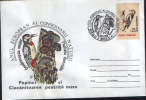 Romania-Envelope Occasionally 1995-Great Spotted Woodpecker; Pic épeiche;Buntspecht - Specht- & Bartvögel