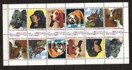 Somalie Soomaaliya 1999 12 Valeurs ** Chiens, Berger Allemand, Epagneul, Bouledog, Basset, Beauceron - Somalië (1960-...)