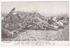 Ce Qui Reste Du ZEPPELIN Detruit 1916 - 1914-1918: 1st War