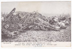 Ce Qui Reste Du ZEPPELIN Detruit 1916 - 1914-1918: 1ère Guerre