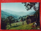 V7-88-vosges-le Ballon D'alsace--animee-cabane- Vallee-cachet Au Verso-- - Anould