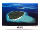 MALDIVE - BIYADHOO - VILLIVARU - FOTO MICHAEL FRIEDEL- FG - V - Maldivas