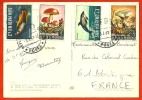 Timbres CHAMPIGNONS (2) & POISSONS (2) Rep. Di San Marino Sur CPM Tireur à L´ Arc - Tarif  Dauphin - Storia Postale