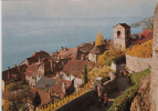 BR12789 Le Lavaux Saint Saphorin    2 Scans - Saint-Saphorin