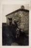 Carte-Photo - Chasse / Chasseurs (CH) - Chasse
