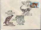 Romania-Envelope Occasionally 1989-  With Cancellation Wild Goat;chamois;Gämse -2/scans - Animalez De Caza