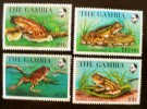 GAMBIE: Grenouilles + CHAMPIGNONS. (Yvert 454/57). Neufs Sans Charniere. MNH - Frösche