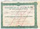 LOT DE 5 X :  ESSENCES & PETROLES DE SAINT JULIEN DE PEYROLAS  CERTIFICAT NOMINATIF - Oil