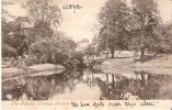 The Botanic Gardens, BELFAST - 1905 - T-1 - Antrim