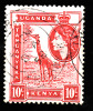 Kenya Ouganda Tanganyika 1954   -  YT  91   -   Oblitéré - Kenya, Ouganda & Tanganyika