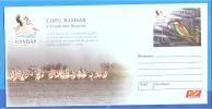 Delta, Pelicans, Birds ROMANIA Postal Stationery Enveloppe 2012 - Pellicani