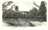 PORTUGAL - SABUGAL - JARDIM MUNICIPAL - 1950 REAL PHOTO PC - Guarda