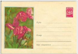 Russia USSR 1957 Fleur Flowers Flower Blume Blumen Flora Plants Envelope - 1950-59