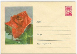 Russia USSR 1958 Fleur Flowers Blumen Flora Plants Rose Roses Envelope - 1950-59