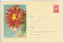 Russia USSR 1958 Fleurs Flowers Flower Blume Blumen Flora Plants Envelope - 1950-59