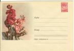 Russia USSR 1958 Fleurs Flowers Blumen Flora Plants Envelope - 1950-59