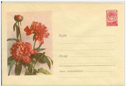 Russia USSR 1958 Fleurs Flowers Flower Blume Blumen Flora Plants Envelope - 1950-59