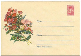 Russia USSR 1958 Fleurs Flowers Flower Blume Blumen Flora Plants Envelope - 1950-59