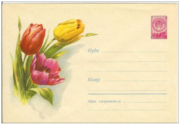 Russia USSR 1959 Fleurs Flowers Flower Blume Blumen Flora Plants Tulip Tulips Envelope - 1950-59