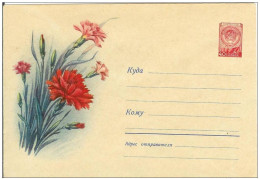 Russia USSR 1959 Fleurs Flowers Blumen Flora Plants Cloves Envelope - 1950-59