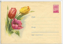 Russia USSR 1960 Fleurs Flowers Flower Blume Blumen Flora Plants Tulip Tulips Envelope - 1960-69